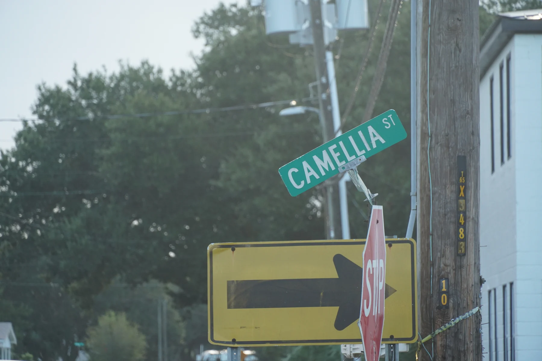 Biloxi sidewalks aren't the only thing damaged in this town